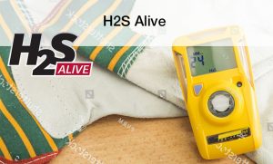 H2S Alive Training